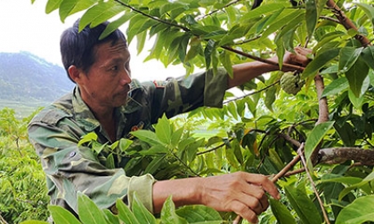 Hội viên nông dân vượt khó làm giàu