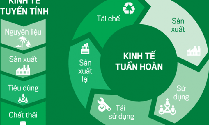 Phát triển kinh tế tuần hoàn cần bắt đầu từ tư duy đúng