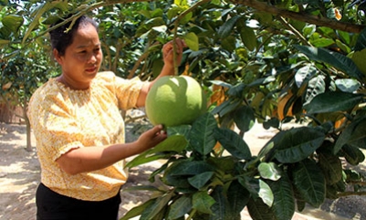 Hội Liên hiệp Phụ nữ huyện Tràng Định: Thực hiện tốt công tác hỗ trợ khởi nghiệp