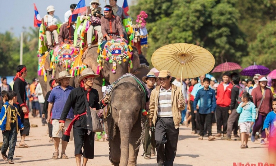 Độc đáo lễ hội voi ở Lào