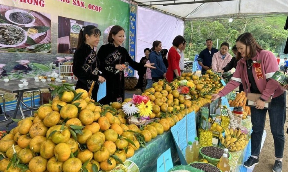 Bắc Kạn khai mạc Ngày hội cam, quýt