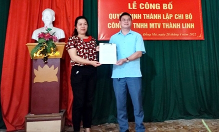 Phát triển đảng trong doanh nghiệp ngoài Nhà nước ở Chi Lăng: Nhiều giải pháp linh hoạt, hiệu quả