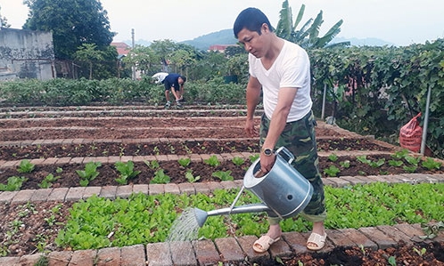 Ban Chỉ huy Quân sự huyện Hữu Lũng thực hiện hiệu quả phong trào thi đua tăng gia sản xuất