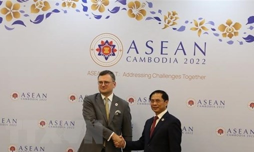 Việt Nam chúc mừng Ukraine tham gia hiệp ước Thân thiện Hợp tác ASEAN