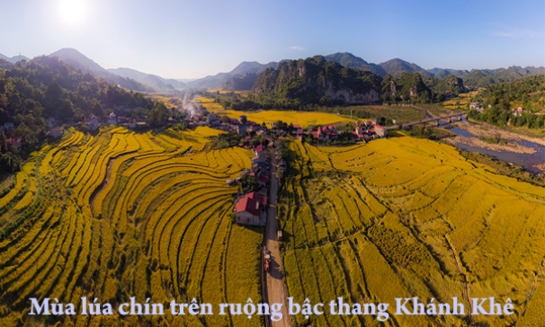 Mùa lúa chín trên ruộng bậc thang Khánh Khê