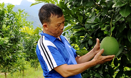 Chi Lăng: Thi đua thực hiện thắng lợi nhiệm vụ phát triển kinh tế - xã hội