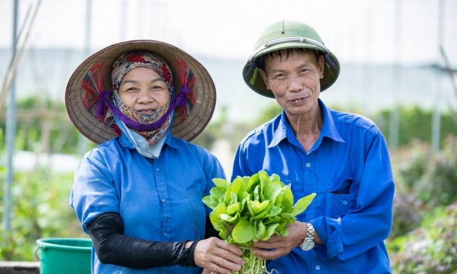 Cách lựa chọn được đúng thực phẩm sạch