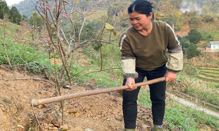 Hội viên nông dân vươn lên từ mô hình kinh tế tổng hợp