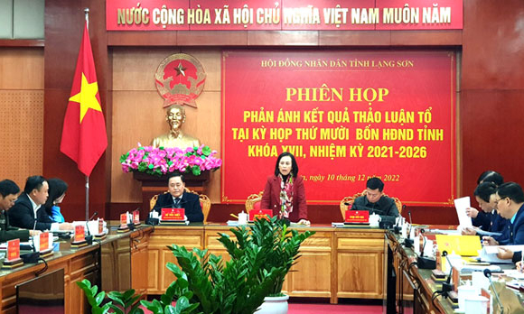 Kỳ họp thứ mười bốn, HĐND tỉnh khoá XVII: Phiên họp phản ánh kết quả thảo luận tổ