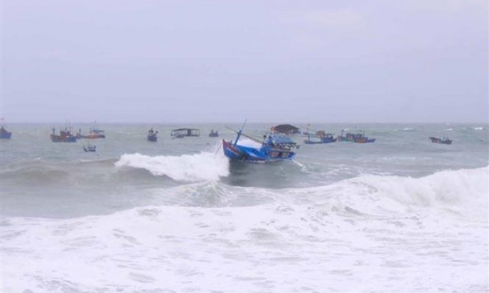 Gió mùa Đông Bắc gây thiệt hại hàng tỷ đồng tại Kiên Giang