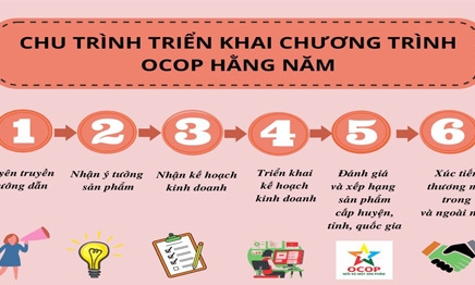 Phát triển sản phẩm OCOP hướng tới xuất khẩu