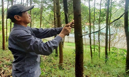 Đồng Tân: Điểm sáng trong công tác giảm nghèo