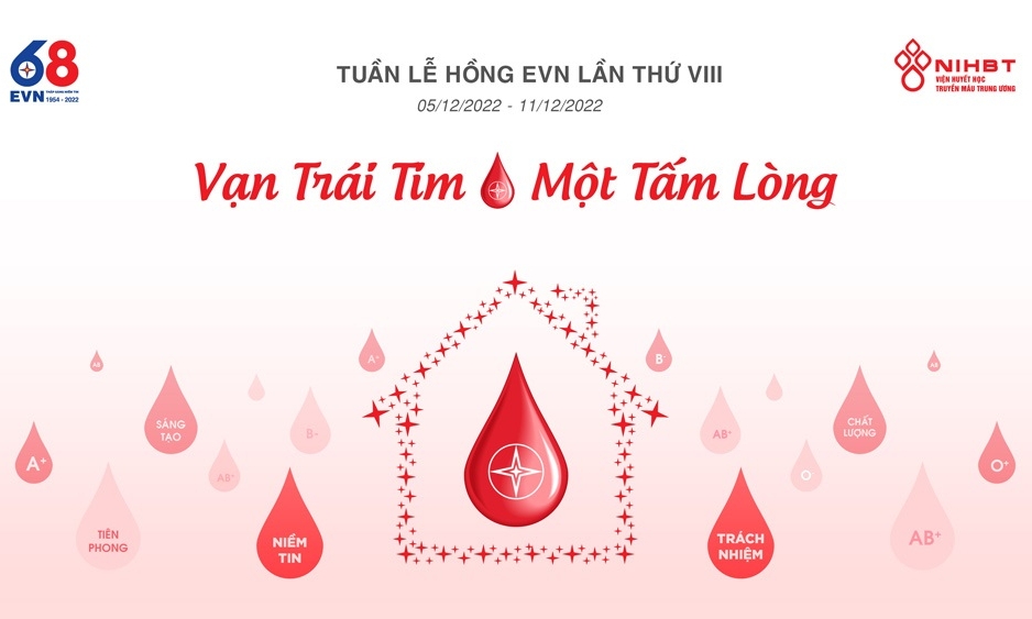 Hưởng ứng Tuần lễ hồng EVN lần VIII năm 2022