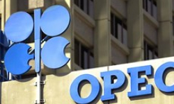 Quỹ Phát triển quốc tế OPEC huy động được 1 tỷ USD từ bán trái phiếu