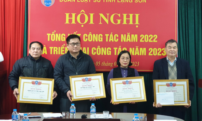 Tổng kết hoạt động luật sư năm 2022