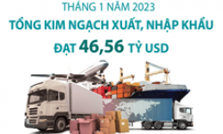 Tháng 1, tổng kim ngạch xuất, nhập khẩu đạt 46,56 tỷ USD