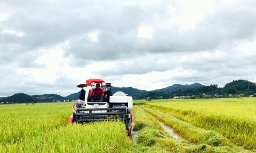 Tốc độ tăng trưởng ngành nông nghiệp Nghệ An đạt cao nhất vùng Bắc Trung Bộ