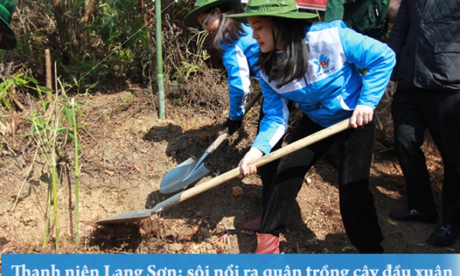 Thanh niên Lạng Sơn: sôi nổi ra quân trồng cây đầu xuân