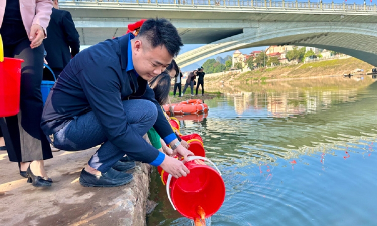 Nét đẹp thả cá phóng sinh ngày ông Công, ông Táo