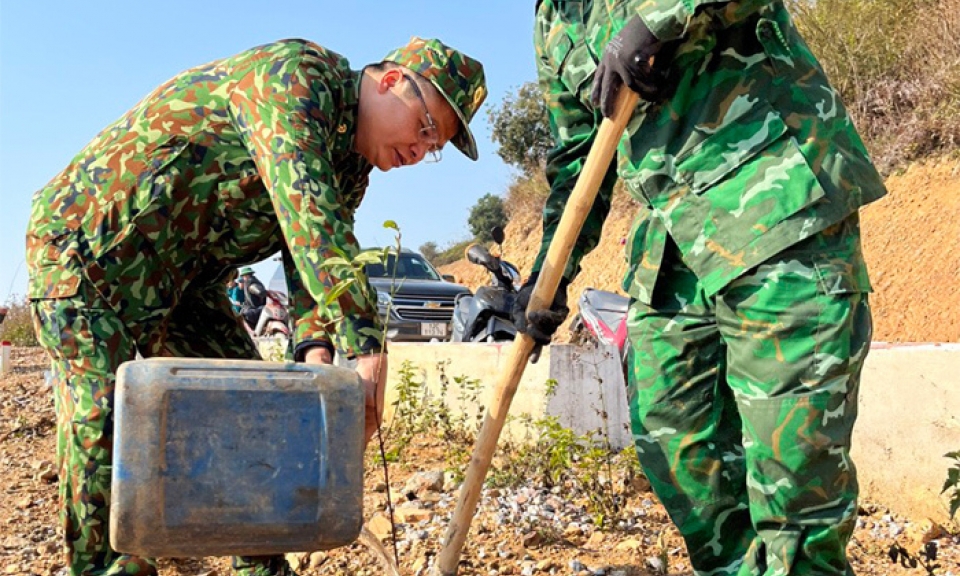 Tô thắm màu xanh biên cương