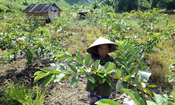 Việt Nam chia sẻ thành công về giảm nghèo