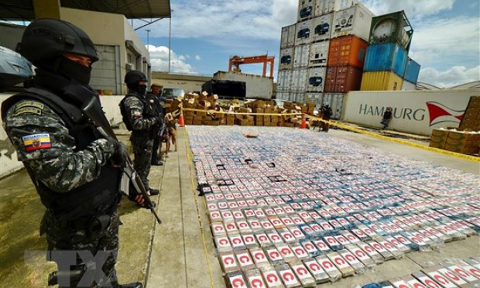 Ecuador thu gần 9 tấn ma túy giấu trong container chuối chuyển tới Bỉ