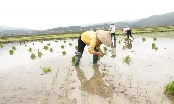 Tập đoàn EVN xả hơn 3,6 tỷ m3 nước cho sản xuất vụ Đông Xuân