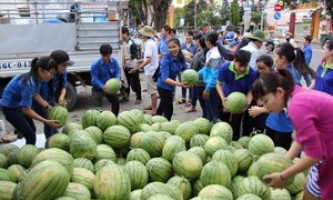 Tạo đầu ra ổn định cho nông sản