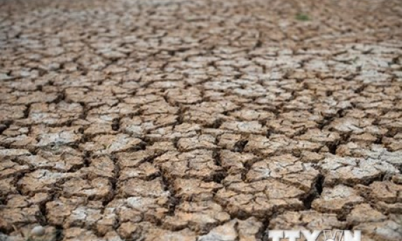 Các nhà khoa học Trung Quốc tiết lộ nguyên nhân gia tăng El Nino