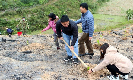 Hữu Lũng: Điểm sáng công tác trồng rừng