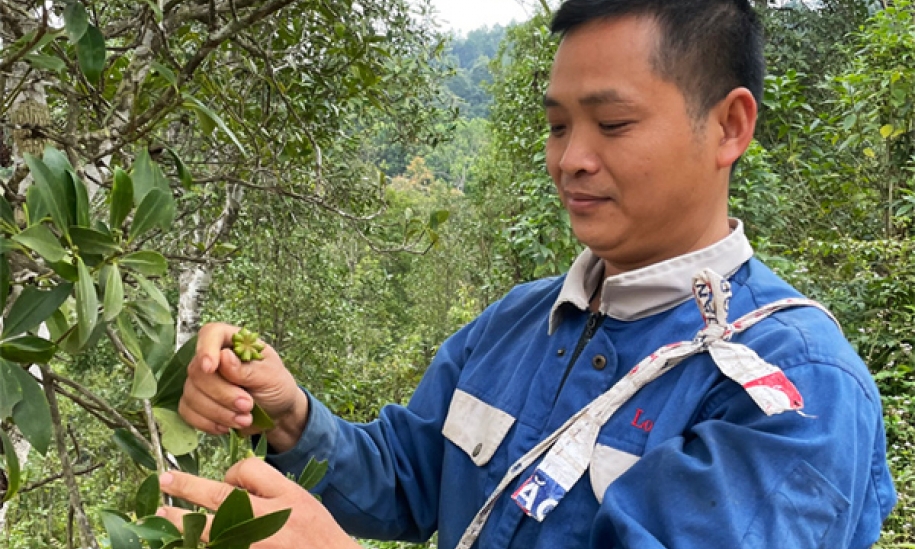 Tiếp sức cho hộ nghèo