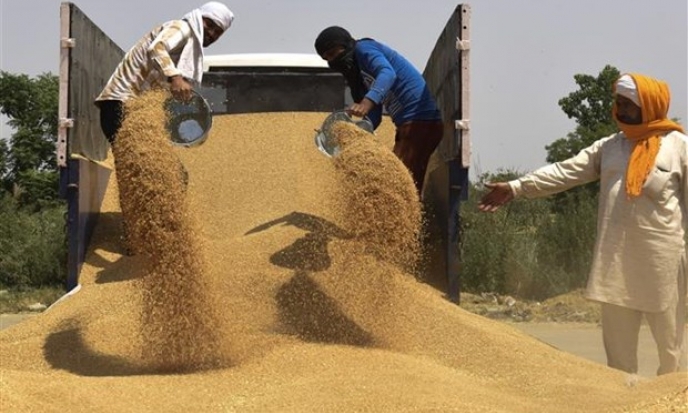 WTO: Thương mại thế giới ổn định và tăng trưởng "tốt hơn dự báo"