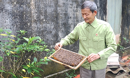 Hội Cựu chiến binh xã Minh Sơn: Đồng hành cùng hội viên phát triển kinh tế