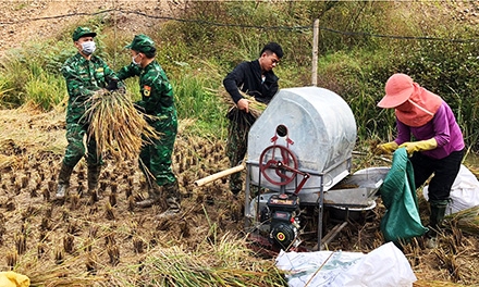 Tuổi trẻ Bộ đội Biên phòng tỉnh xung kích trong các phong trào, hoạt động