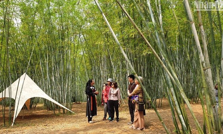 Ra mắt sản phẩm du lịch chuyên sâu: Tuyến du lịch văn hóa Hà Nội - Bắc Giang