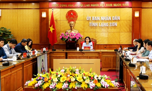 Giao ban trực tuyến công tác phi chính phủ nước ngoài năm 2022