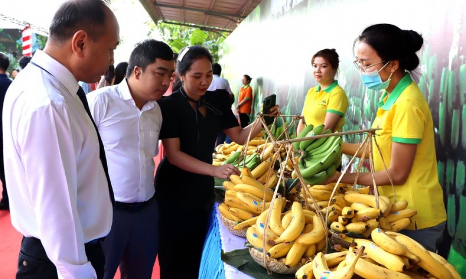 Phát triển bền vững vùng nguyên liệu