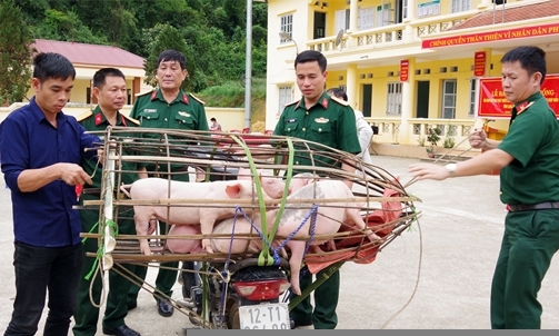 Đoàn Kinh tế Quốc phòng 338 giao con giống hỗ trợ người dân phát triển kinh tế