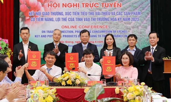 Bắc Giang: Phấn đấu xuất khẩu 1.500 tấn vải thiều sang thị trường Mỹ