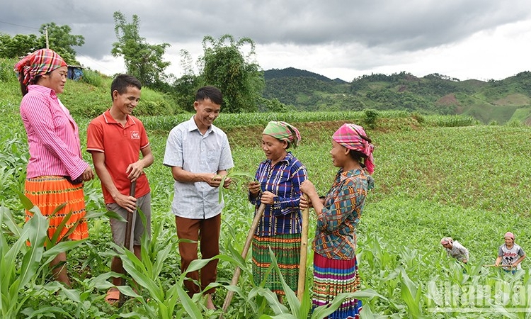 Sẽ hình thành 3 hệ thống thông tin về bảo trợ xã hội và giảm nghèo