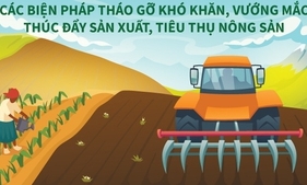 Giải pháp thúc đẩy sản xuất, tiêu thụ nông sản