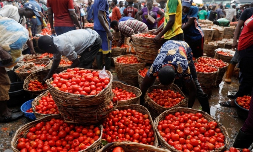 Lạm phát tại Nigeria tăng nhanh lên 22,04% trong tháng 3/2023