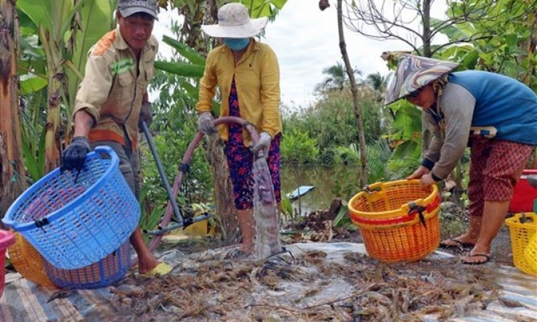 Triển lãm quốc tế công nghệ ngành tôm Việt Nam: Nâng tầm chuỗi giá trị