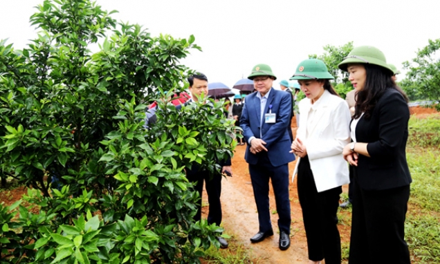 đạo UBND tỉnh kiểm tra tại huyện Chi Lăng: Triển khai quyết liệt, đồng bộ các giải pháp phát triển kinh