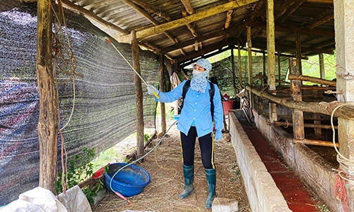 Tăng cường phòng, chống dịch bệnh trên đàn vật nuôi thời điểm giao mùa