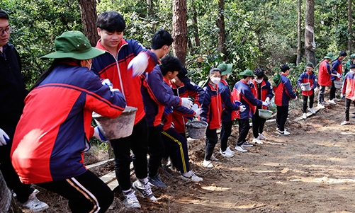 Hoạt động trải nghiệm: Tạo sự hứng thú, hỗ trợ học tập cho học sinh