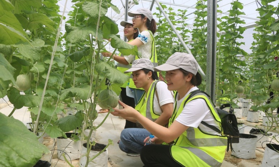 Du lịch nông nghiệp, nông thôn ở Bắc Ninh