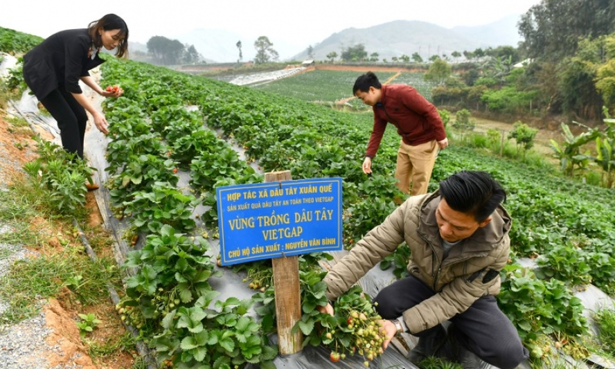 Tiếp sức phong trào xây dựng nông thôn mới