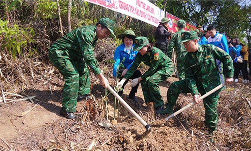 Luỹ tre biên giới Việt: Một mô hình nhiều lợi ích