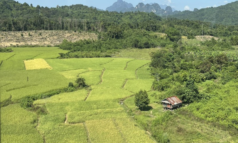 Lào đặt mục tiêu sản xuất hơn 3,8 triệu tấn lúa trong năm 2023